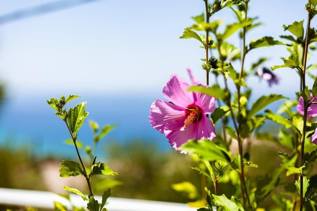 Aigli Summer Getaway - Seaview Lux Retreat Verga Kalamata Exteriér fotografie